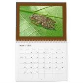 Mural Reptiles et amphibiens du calendrier #1 (Mar 2026)