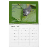 Mural Reptiles et amphibiens du calendrier #1 (Feb 2026)