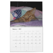 Mural Sa Majesté le calendrier du chat 2012 (Feb 2027)