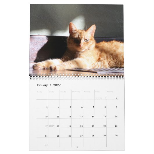 Mural Sa Majesté le calendrier du chat 2012 (Jan 2027)