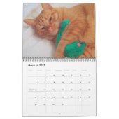 Mural Sa Majesté le calendrier du chat 2013 (Mar 2027)
