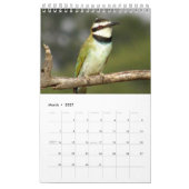 Mural Safari africain - page simple du calendrier 2014 (Mar 2027)