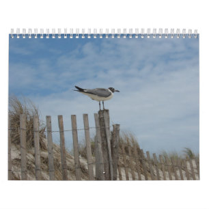 Mural Scènes de plage calendrier de 19 mois 2011-2012