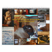 MURAL SCM - COUVERTURE DE BUFFLE - CALENDRIER (Protection)
