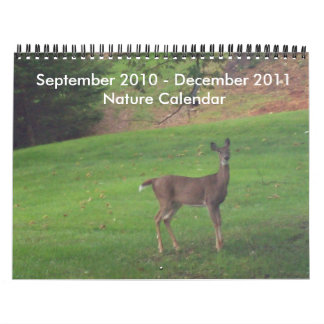 Mural Septembre 2010-décembre 2011 calendrier de nature