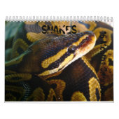 Mural Serpents 16 mois de calendrier (Protection)