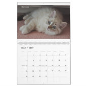 Mural Sibérie Chats Chatons Chatons Jan2012 - Calendrier (Mar 2027)