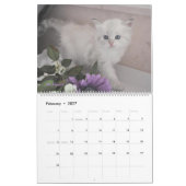Mural Sibérie Chats Kittens 2012 - Calendrier 2013 (Feb 2027)