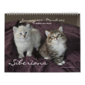 Mural Sibérie Chats Kittens 2012 - Calendrier 2013 (Protection)