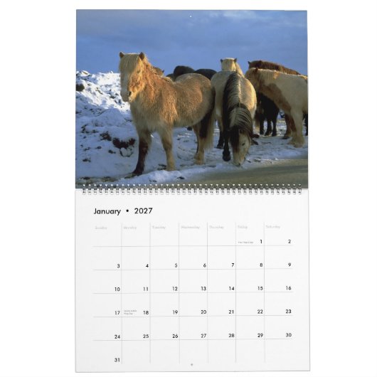 Mural Thème islandais de 2010 chevaux de calendrier (Jan 2027)