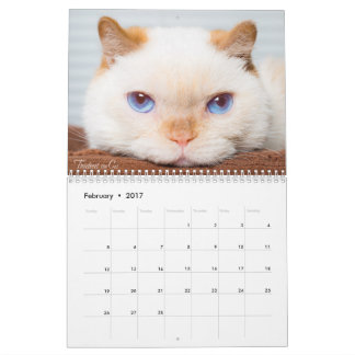 Mural Trident 2017 le calendrier de chat