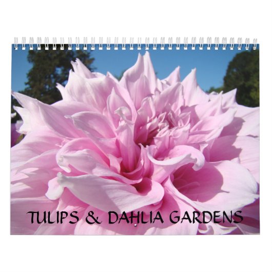 Mural TULIPS & DAHLIA GARDENS Calendrier Cadeaux Bureau  (Protection)