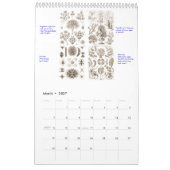 Mural Un calendrier 2012 des dessins de plante (Mar 2027)