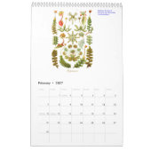 Mural Un calendrier 2012 des dessins de plante (Feb 2027)