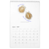 Mural Un calendrier des araignées par Ernst Haeckel. (Mar 2027)