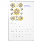 Mural Un calendrier des dessins d'Ernst Haeckel. (Mar 2027)
