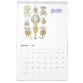 Mural Un calendrier des dessins d'Ernst Haeckel. (Feb 2027)