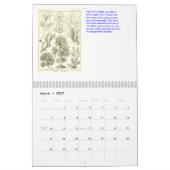 Mural Un calendrier des dessins d'Ernst Haeckel (Mar 2027)