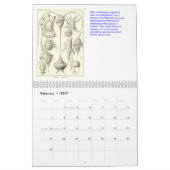 Mural Un calendrier des dessins d'Ernst Haeckel (Feb 2027)