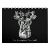 Mural Un calendrier des dessins d'Ernst Haeckel. (Protection)