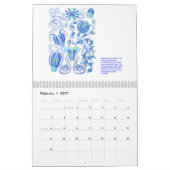 Mural Un calendrier des dessins d'Ernst Haeckel. (Feb 2027)