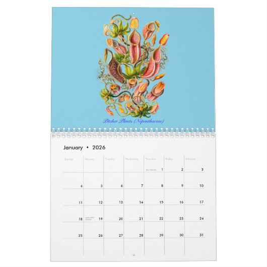 Mural Un calendrier des plantes d'Ernst Haeckel (Jan 2026)
