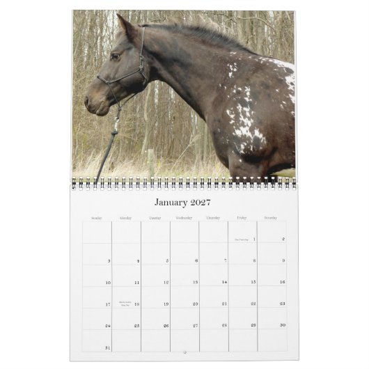 MURAL VOUS AVEZ DES POINTS ? CALENDRIER APPALOOSA 2011 (Jan 2027)