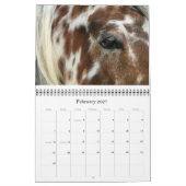 MURAL VOUS AVEZ DES POINTS ? CALENDRIER APPALOOSA 2011 (Feb 2027)