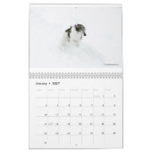 Mural Windhounds de soie dans le calendrier d'action (Jan 2027)