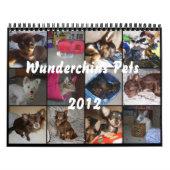 Mural Wunderchins choie le calendrier 2012 (Protection)