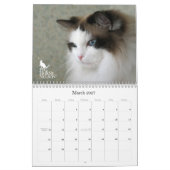 Mural Yeux de Purrfect ! Calendrier 2012 de chat (Mar 2027)
