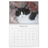 Mural Yeux de Purrfect ! Calendrier 2012 de chat (Feb 2027)