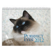 Mural Yeux de Purrfect ! Calendrier 2012 de chat (Protection)