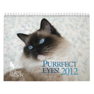 Mural Yeux de Purrfect ! Calendrier 2012 de chat
