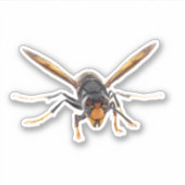 Murder Hornet Sticker (Voorkant)