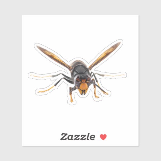 Murder Hornet Sticker (Vel)