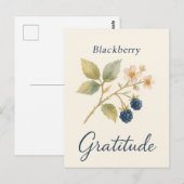 Mûre — Carte postale de gratitude (Devant / Derrière)