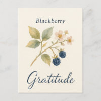 Mûre — Carte postale de gratitude