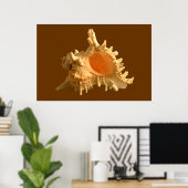 Murex Ramous Poster (Thuiskantoor)