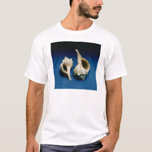 Murex shell t-shirt