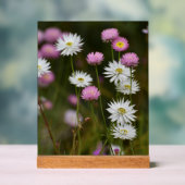 Murmur des Fleurs Sauvages (Neutre)