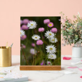 Murmur des Fleurs Sauvages (Mariage)
