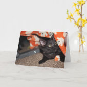 Murphy Kaart (Gele Bloem)