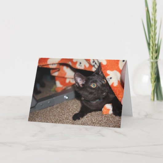 Murphy Kaart (Voorkant)