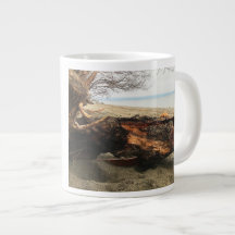 Murphy neemt een Mok