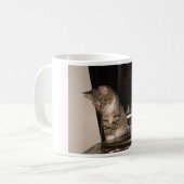 Murphy sur la TASSE de victrola (Devant gauche)