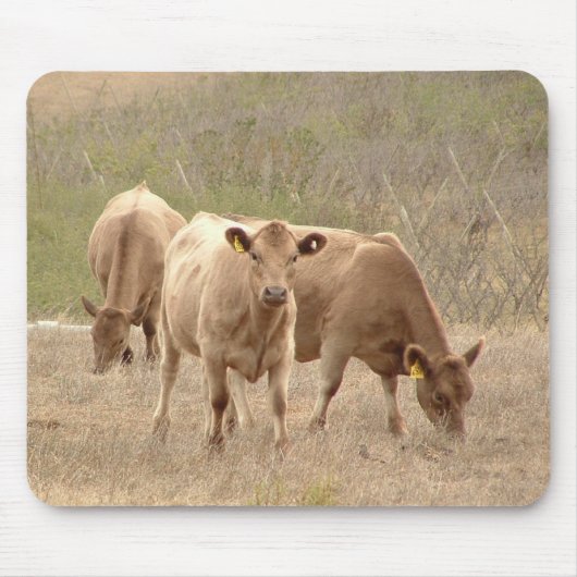 murray grays muismat (Voorkant)