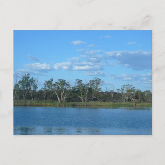 Murray River SA Briefkaart (Voorkant)