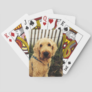 Murray-speelkaarten Pokerkaarten