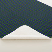 Murray tartan bleu vert plaid (3/4)